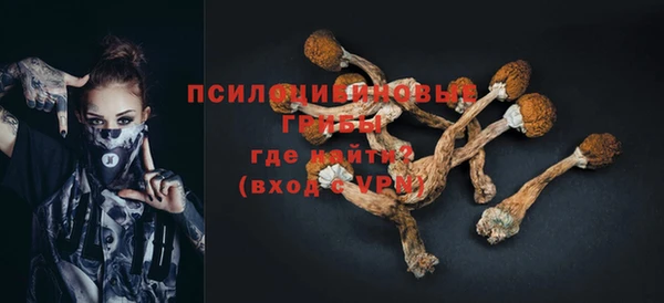крисы Липки