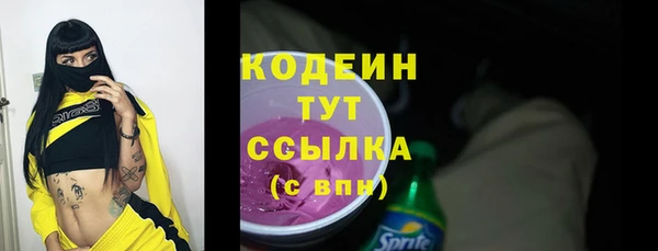 spice Богородицк