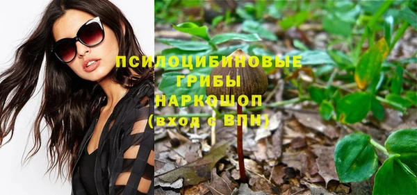 крисы Липки