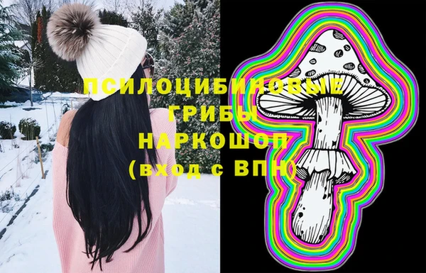 крисы Липки