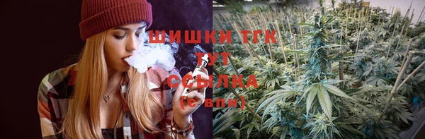 крисы Липки