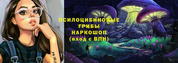 крисы Липки