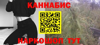 стаф Донецк
