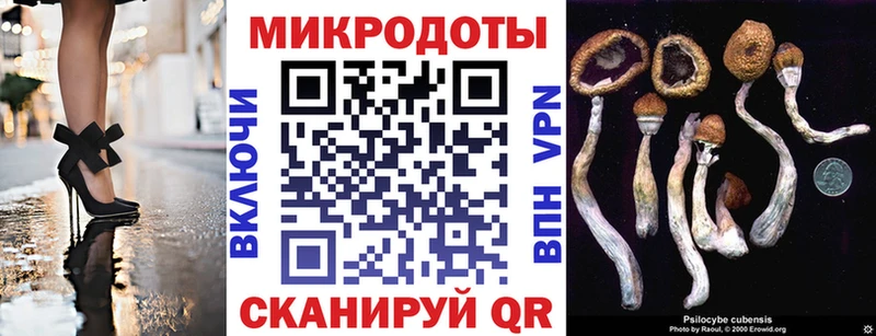 как найти наркотики  Копейск  дарк нет телеграм  Псилоцибиновые грибы Psilocybe 