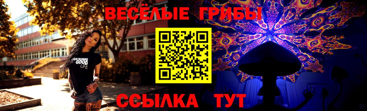 Псилоцибиновые грибы Cubensis Копейск