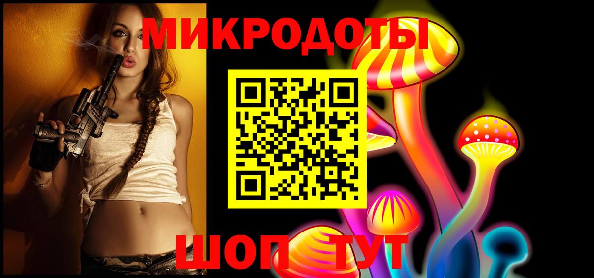 Псилоцибиновые грибы Psilocybe Копейск