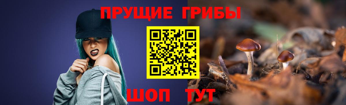 Копейск  Галлюциногенные грибы прущие грибы  купить   Вход с VPN 